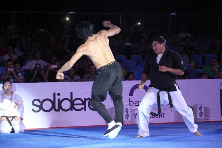 Martial Arts Festival